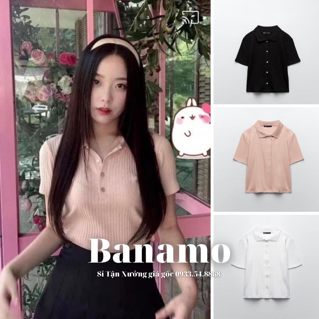 Áo polo 3 màu chất thun tăm siêu đẹp thời trang Banamo Fashion Cộc polo tăm to 3 màu 3413