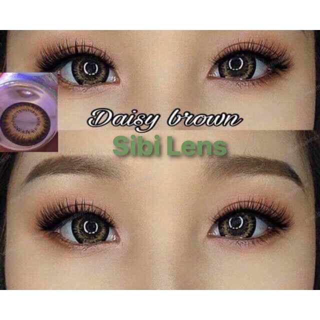 Lens Daisy Brown - lens Chuẩn Thái - Cam Kết Chính Hãng