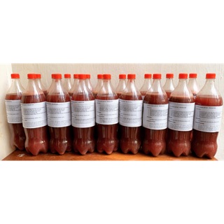 Vi sinh Tôm Bio Fish can 5 lít làm trong nước bể cá, khử mùi hôi tanh.