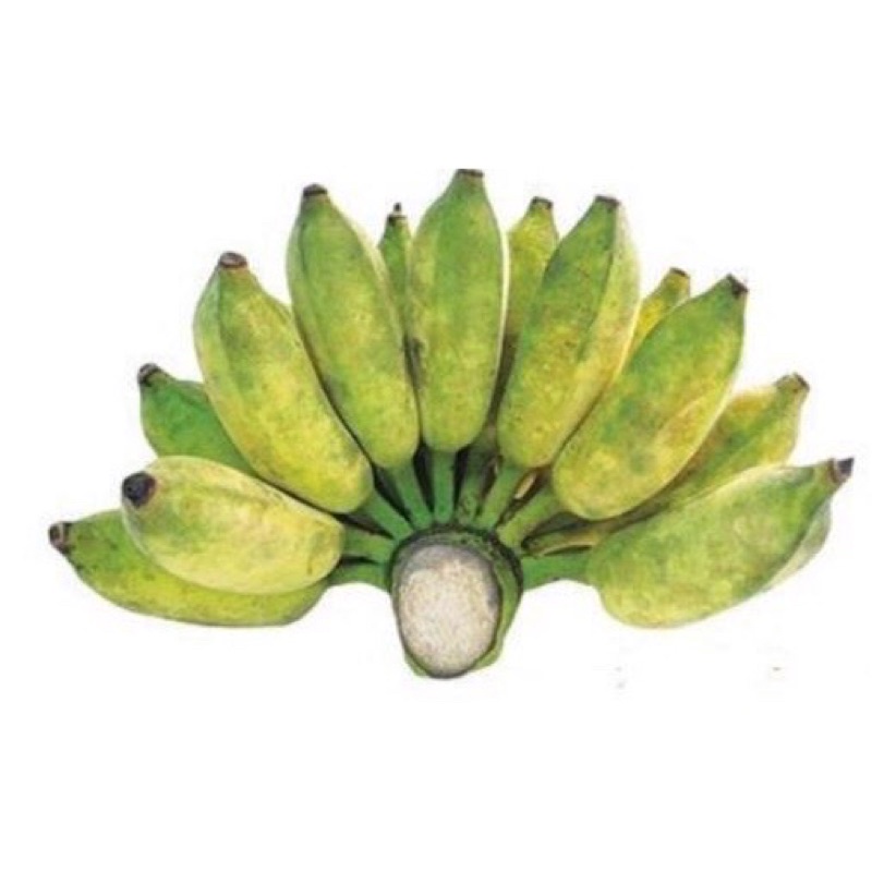 Chuối xiêm  hàng nhà trồng - Chỉ giao hỏa tốc