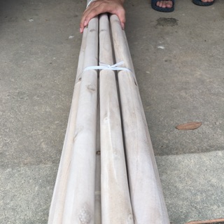 Combo 2thanh phi 3 dai 1,6m và 5 thanh phi 2,5 dài 1.2m