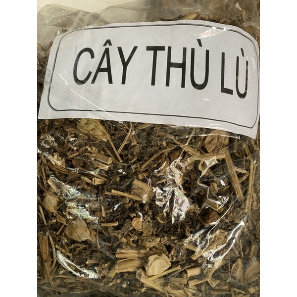 1 kg cây thù lù khô (tầm bóp) mới đẹp, loại 1