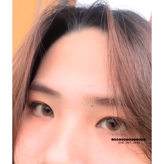 Kính áp tròng nâu vàng (tây) không viền