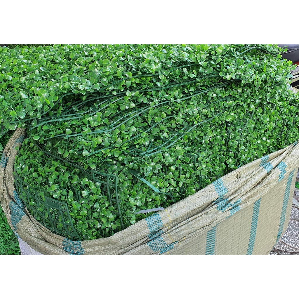 Thảm cỏ treo tường, cỏ nhựa nhân tạo trang trí ban công cải xoang 60cm x 40cm