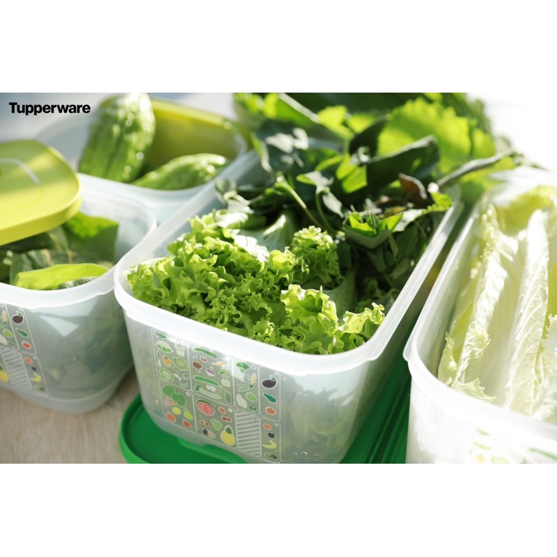 Bộ hộp trữ mát có nút hô hấp ventsmart Tupperware