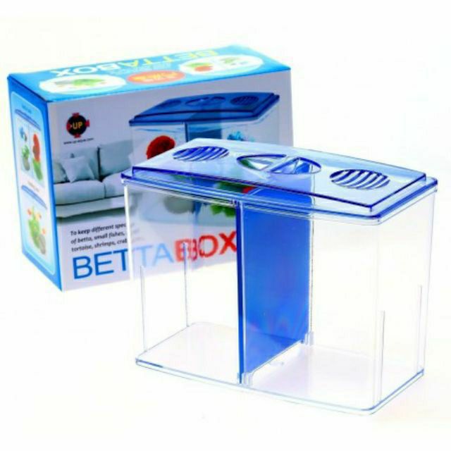 Bể nhựa nuôi cá Betta mini 2 in 1, hồ cá để bàn size 18x14x10 cm - Betta Box - GuppyXanh