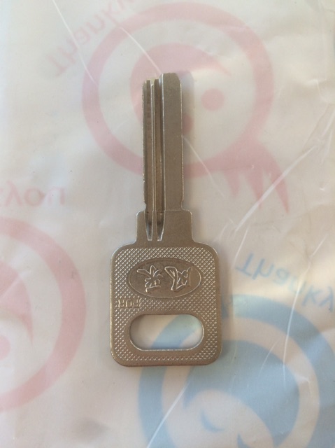 50 phôi chìa khoá chấm vi tính rảnh trái