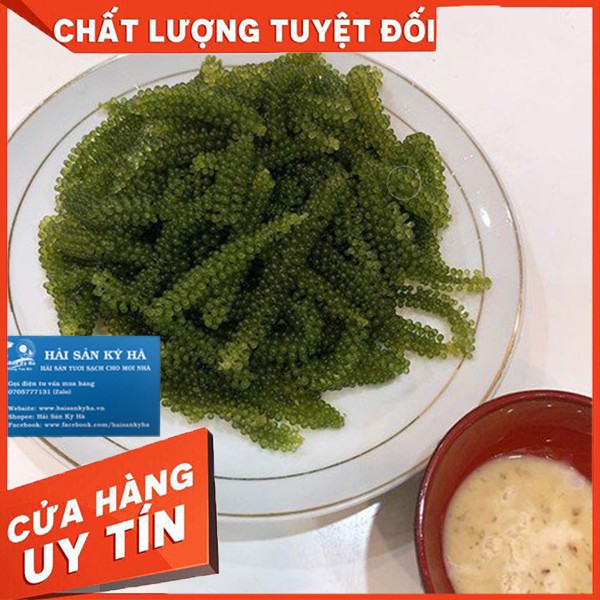 Giá Sỉ 10 Túi Rong Nho Tách Nước - Giá Sỉ Rẻ Nhất