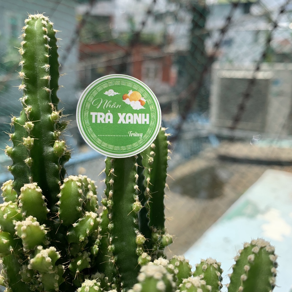 500 Tem Nhân Bánh Trung Thu 2.6 cm - Mẫu mới 2022