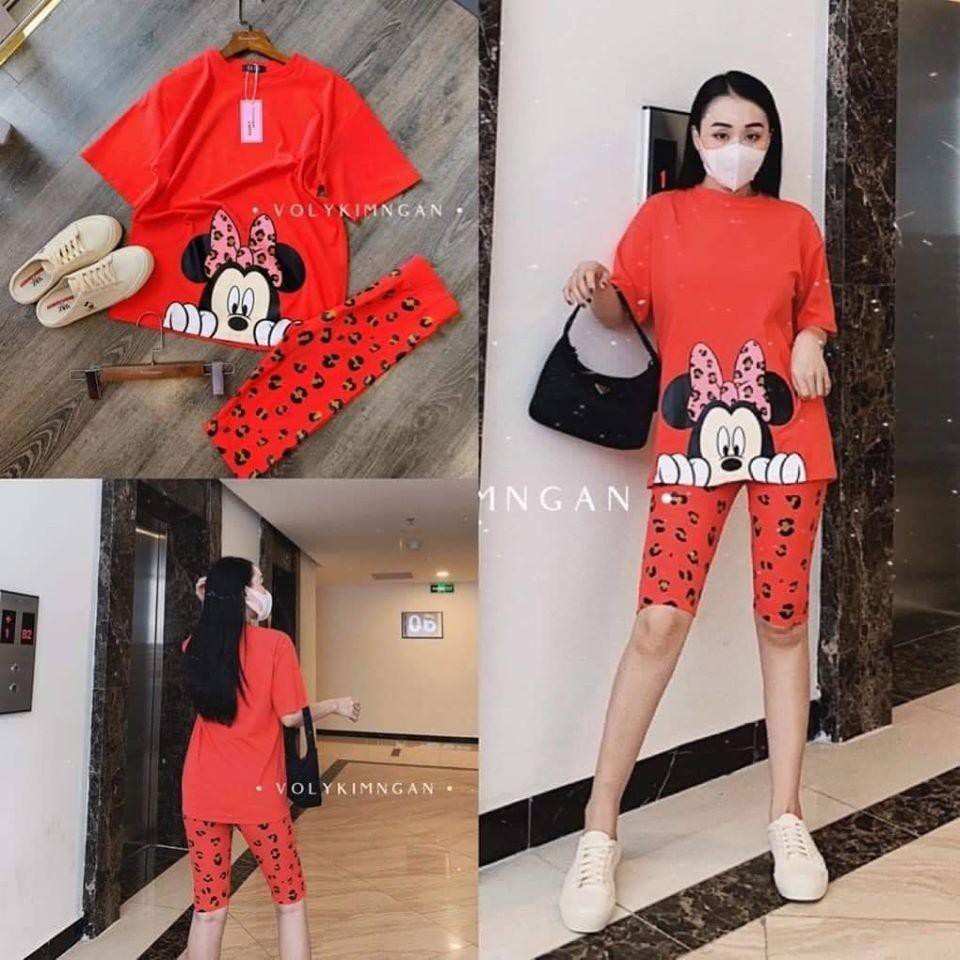 Đồ Bộ Ngố, Bao Đẹp, Chất Thun Cotton 100%, 3 size L, XL, XXL, 45kg đến 80kg vừa, 673 | BigBuy360 - bigbuy360.vn