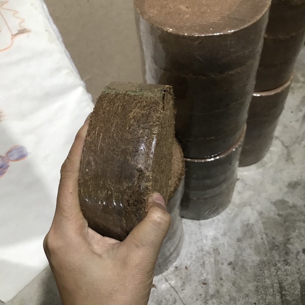 ĐẤT HỮU CƠ MỤN XƠ DỪA TRỒNG RAU,HOA CÂY CẢNH