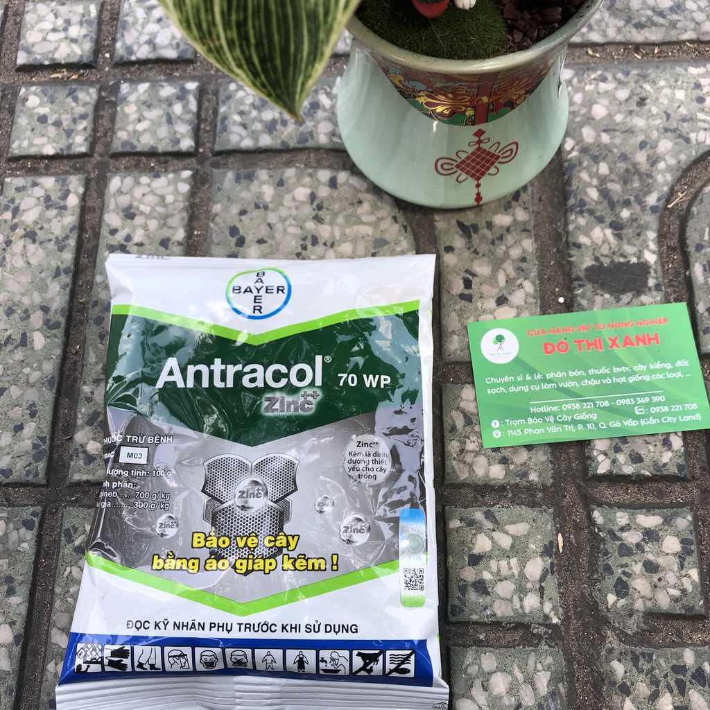 Chế phẩm phổ rộng ANTRACOL 70WP áo giáp kẽm gói 100gr trừ đốm đen, thán thư, thối cổ rễ
