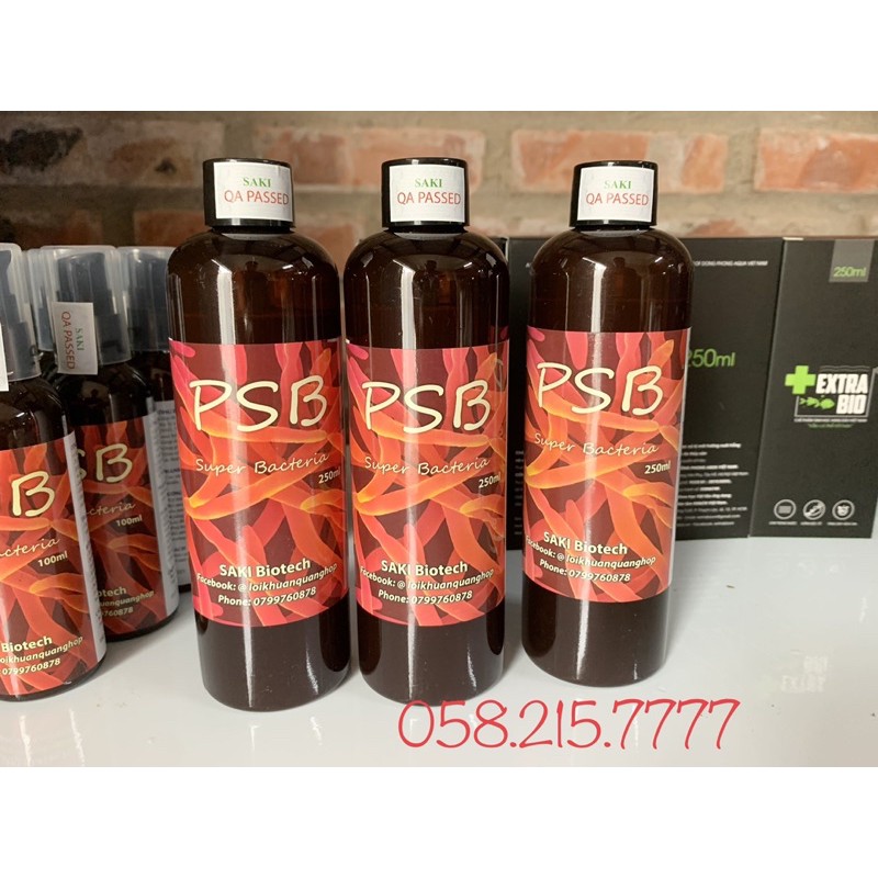 100ml-250ml PSB chế phẩm sinh học dành cho bể cá, hồ Koi