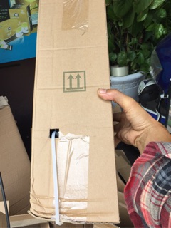 Cây nguyệt quế (Bay leaf)