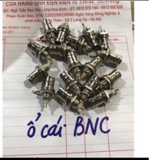 10 jack cái bnc ổ cái