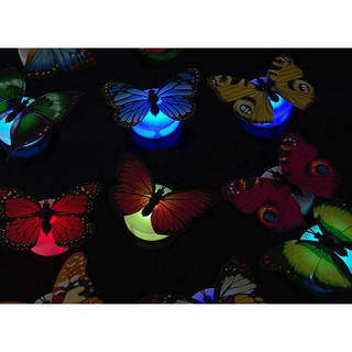 ❤️Giá sỉ❤️ Đèn Led Hình Con Bướm Dán Tường Phát Sáng