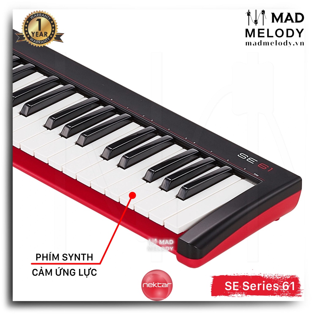 Nektar se61 61-key usb midi keyboard controller đàn soạn nhạc 61 phím, - ảnh sản phẩm 6