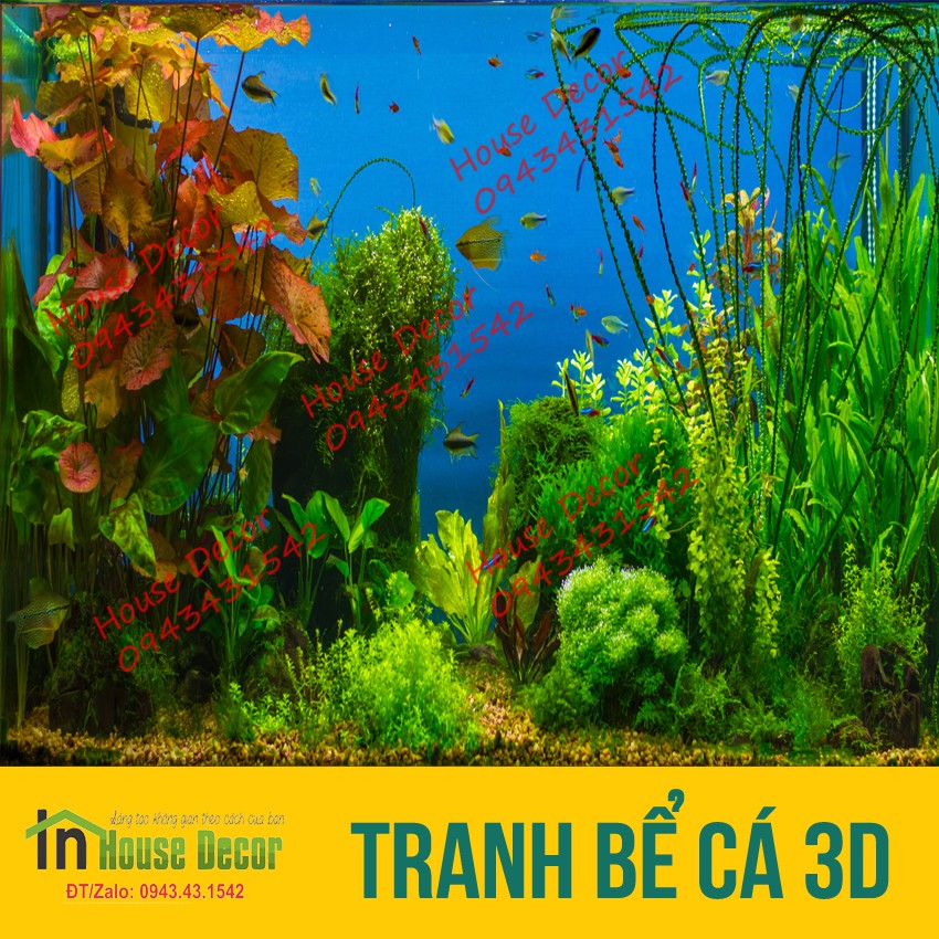 Tranh 3D dán bể cá 00