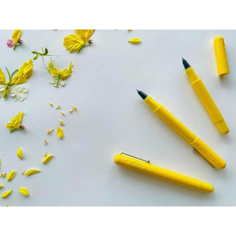 Bút Cánh Diều 202