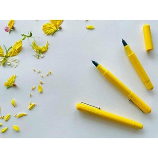 Bút Cánh Diều 202