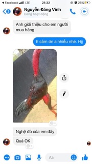 Củ Nghệ Đỏ_500Gr (ORGANIC)
