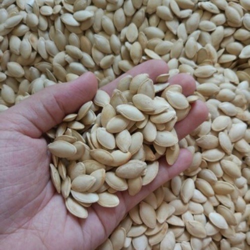 500g Hạt Bí Rang Sẵn hàng Xuất Khẩu loại 1 Đóng Túi Zíp Date Mới