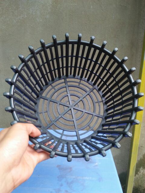 Chậu nhựa nan trồng hoa lan