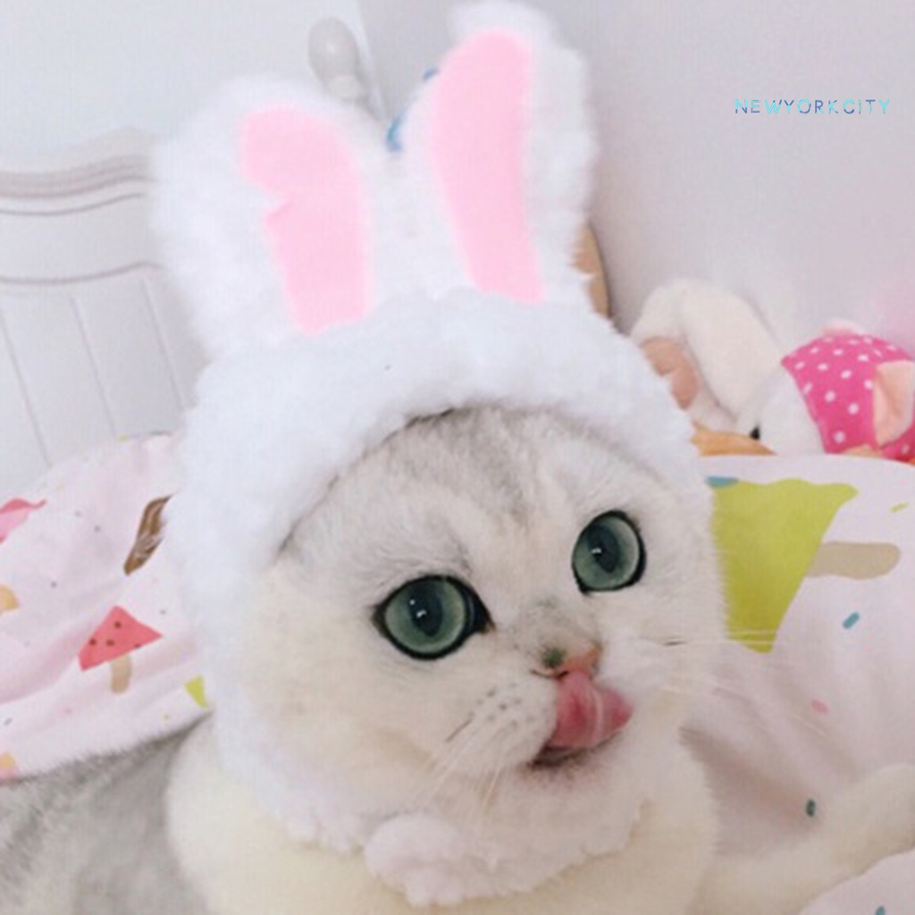 Nón Đội Đầu Co Giãn Màu Trơn Dành Cho Thú Cưng Sự Bảo Vệ