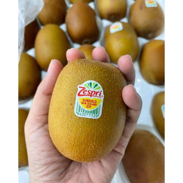 Kiwi Vàng New Zealand BAO NGNG