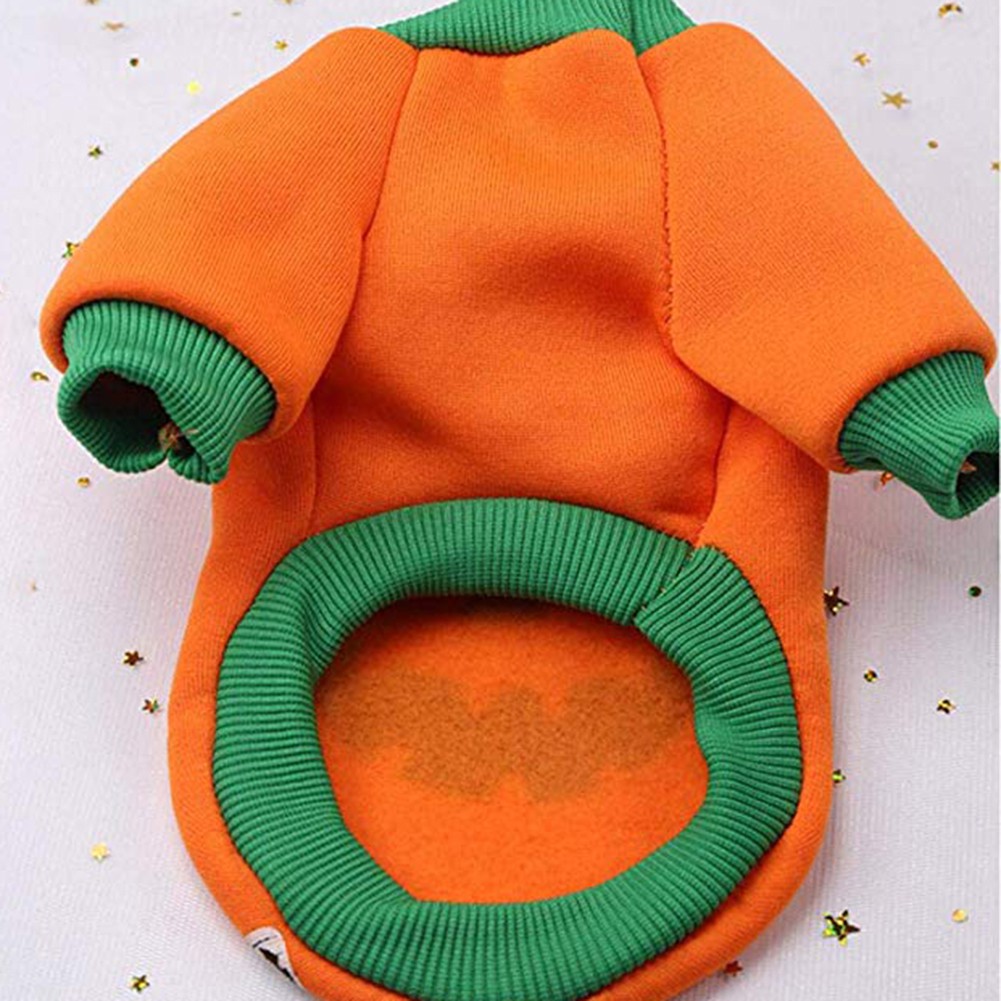 Đồ Hóa Trang Halloween Cho Thú Cưng