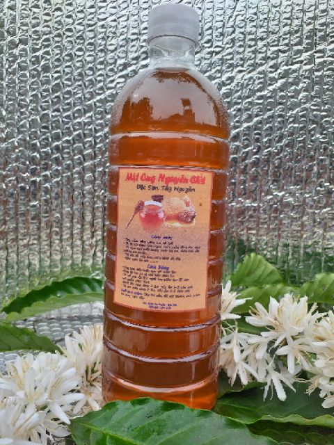 Mật ong. 1 lít mật ong hoa cà phê 100% loại đặc biệt. CAM KẾT HÀNG CHẤT LƯỢNG KHÔNG ĐÂU RẺ BẰNG. | BigBuy360 - bigbuy360.vn