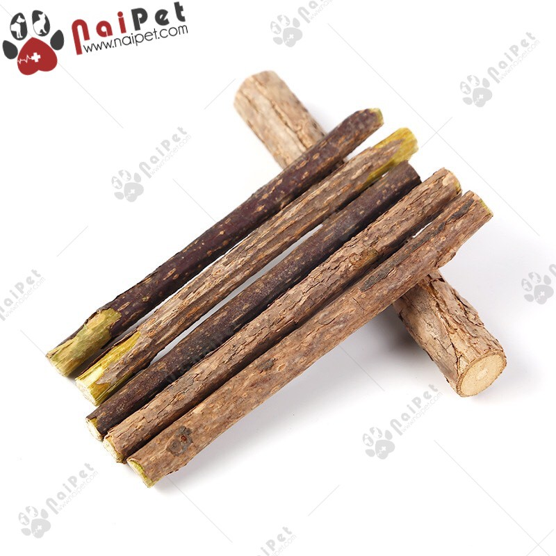 Que Gỗ Catnip Bạc Hà Gặm Sạch Răng Cho Mèo CCN010