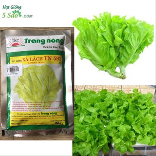 Xà Lách TN 591 ( 100gr )