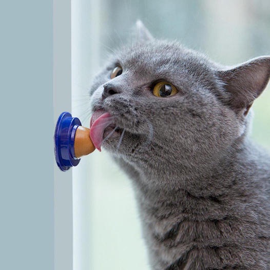 kẹo Catnip dán tường