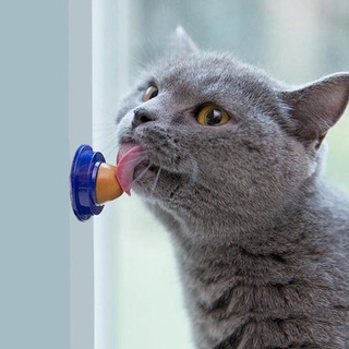 Kẹo Catnip dán tường
