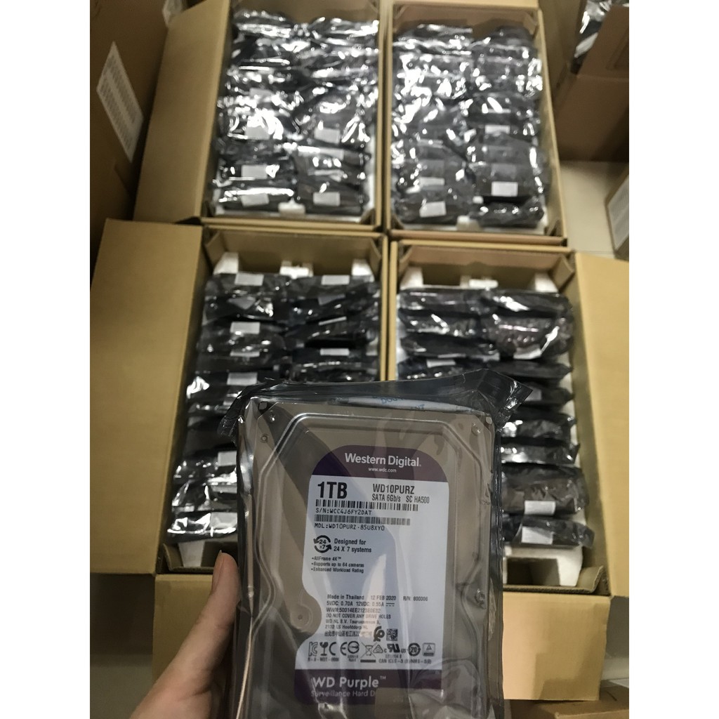 Ổ cứng HDD 1TB - Ổ cứng HDD 1TB WD (tím) chuyên camera chính hãng tem Vĩnh Xuân | BigBuy360 - bigbuy360.vn