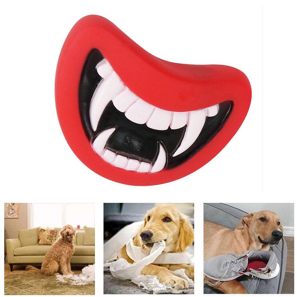 Set 1 / 2 Đồ Chơi Làm Thú Cưng Vui Nhộn