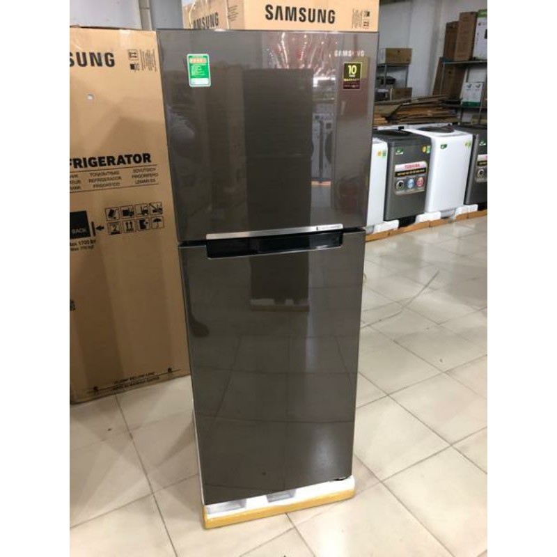 Tủ lạnh Samsung Inverter 236 lít RT22M4032DX/SV ( CHỈ GIAO HÀNG HCM )