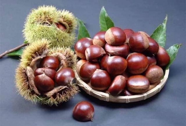 Hạt dẻ sấy khô Nhật Bản