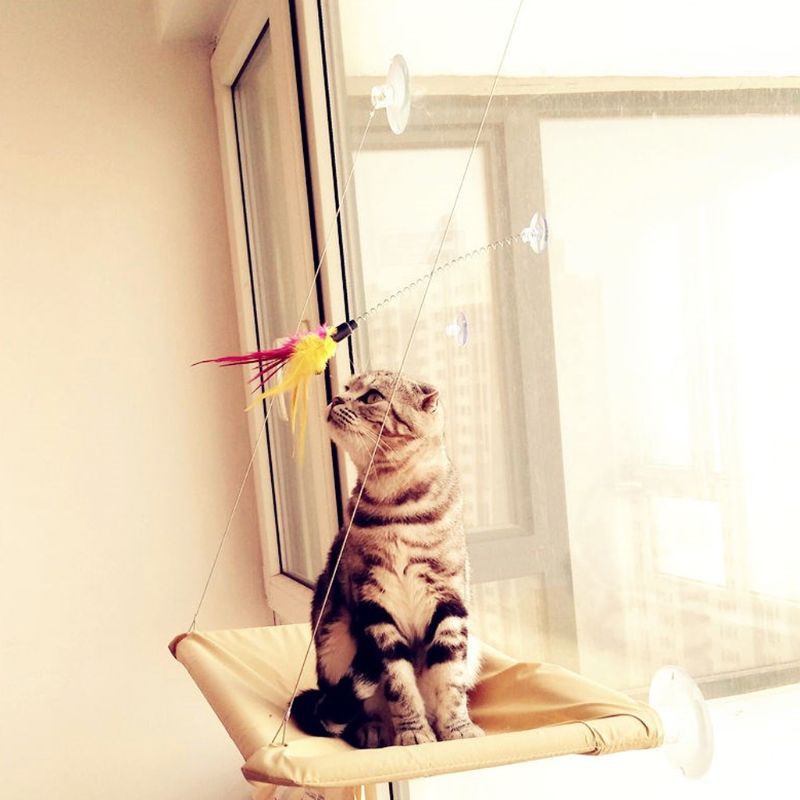 Gậy đồ chơi gắn lông vũ cho mèo