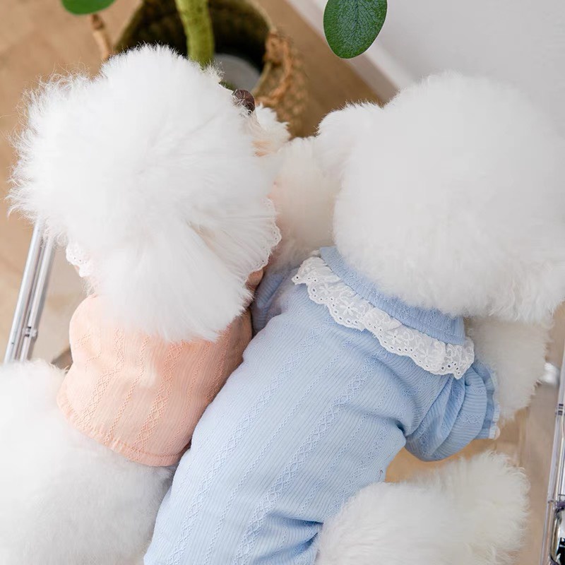 Áo tay phồng búp bê cho thú cưng