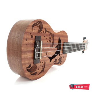 Đàn Ukulele Concert Dolphin