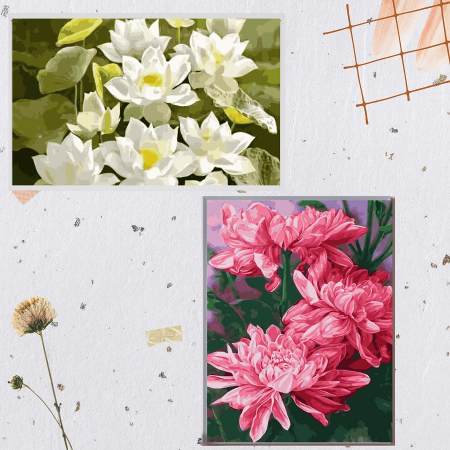 Combo 2 (YN 59-YN 63) Tranh Số Hoá Tự Tô Màu Theo Số Mẫu Hoa Sen Chưa Căng Khung Kèm Màu Acrylic Kích Thước 40x50cm