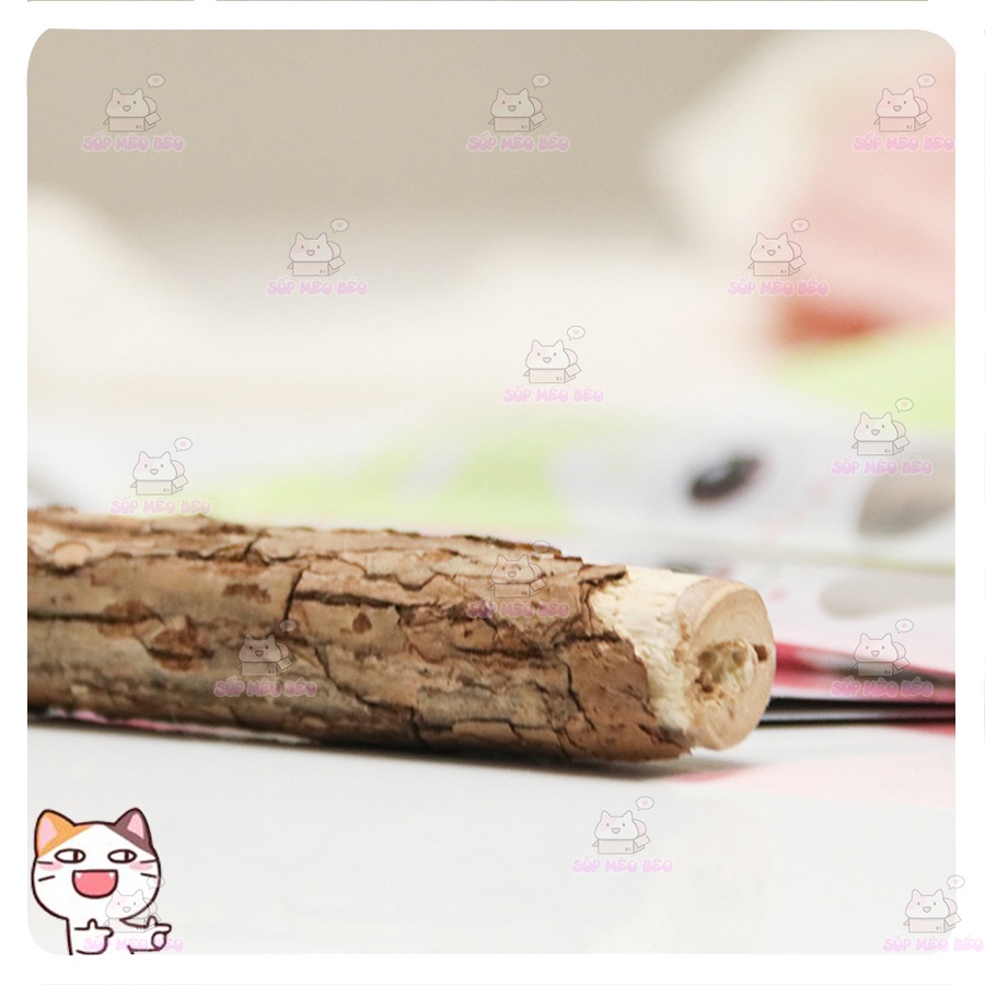 Gói 5 que Mutian Polygonum sạch răng, giảm hôi miệng và giảm stress cho Mèo