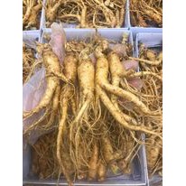 COMBO 0,5kg sâm Hàn Quốc loại nhỏ dung trong chế biến loại 25-30 củ | BigBuy360 - bigbuy360.vn
