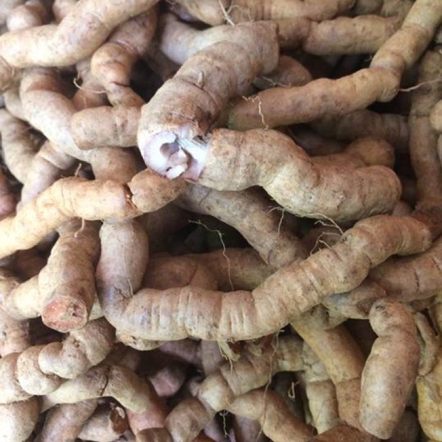 combo 2kg ba kích