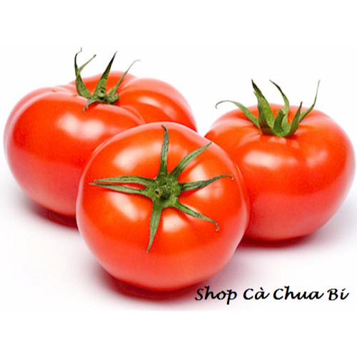 Shop Cà Chua Bi