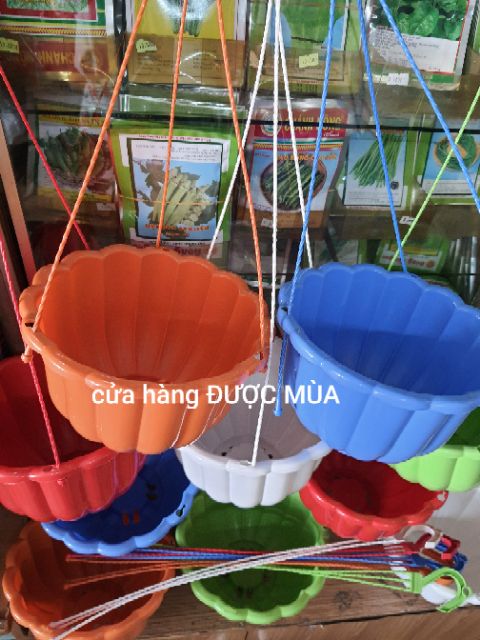 chậu treo bí size lớn 22cm - tặng kèm dây treo.