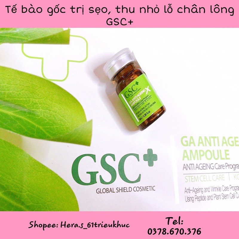 TẾ BÀO GỐC SẸO GSC+