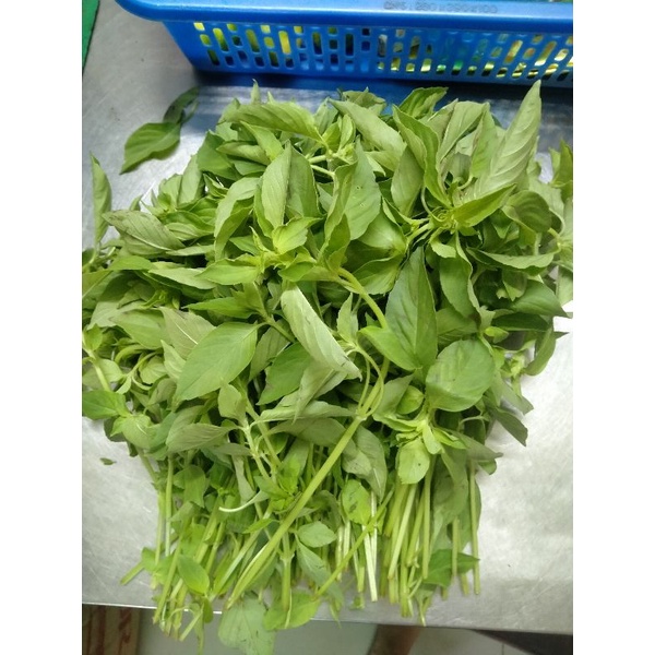 Lá é tươi nguyên cành 1Kg -Lá é tươi đặc sản Phú Yên